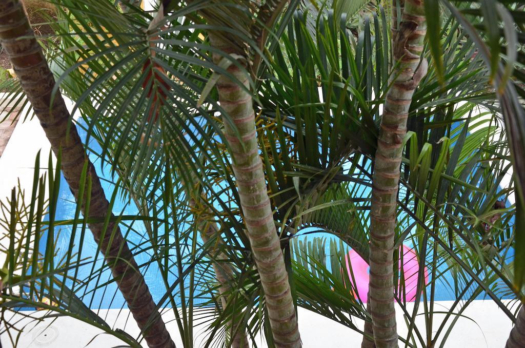 Bed and breakfast Tu Casa Cozumel